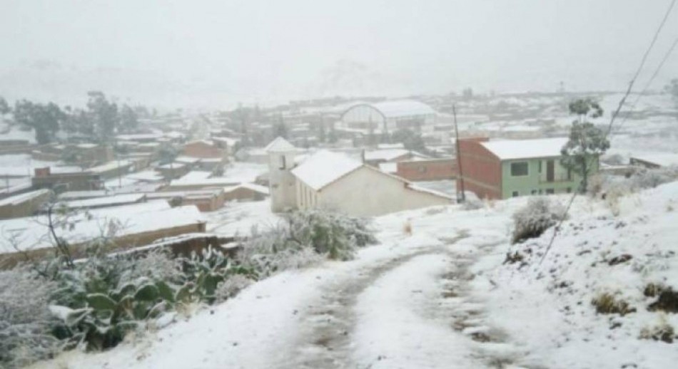 Frío extremo en Bolivia: 92 municipios en desastre por heladas y miles de familias afectadas