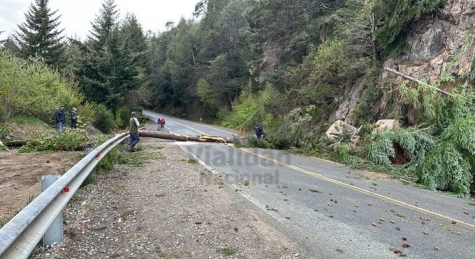 Corte total en la Ruta 40 tras un desmoronamiento en la zona de Villa La Angostura